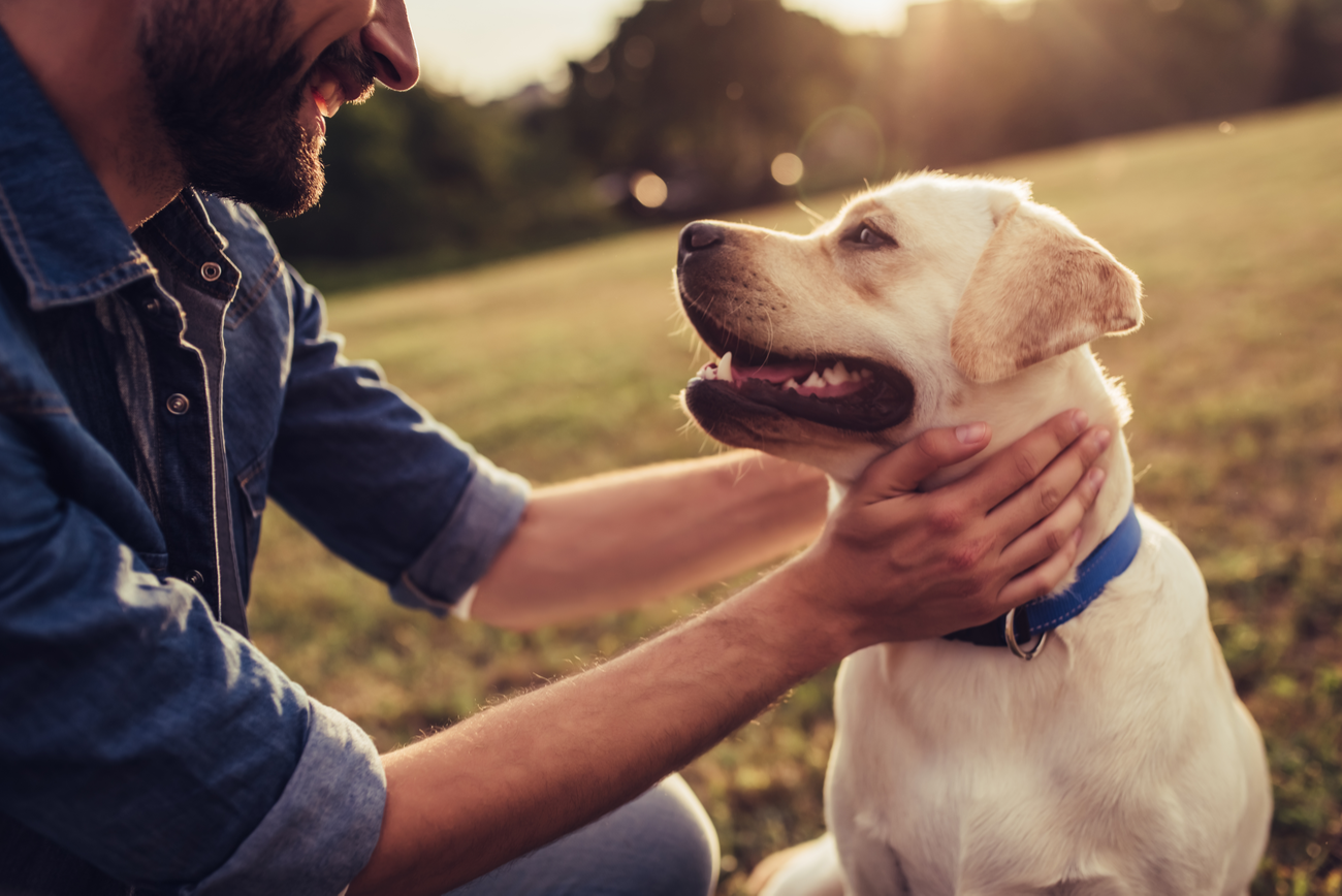 How To Help Your Clients Create An Estate Plan For Their Pets